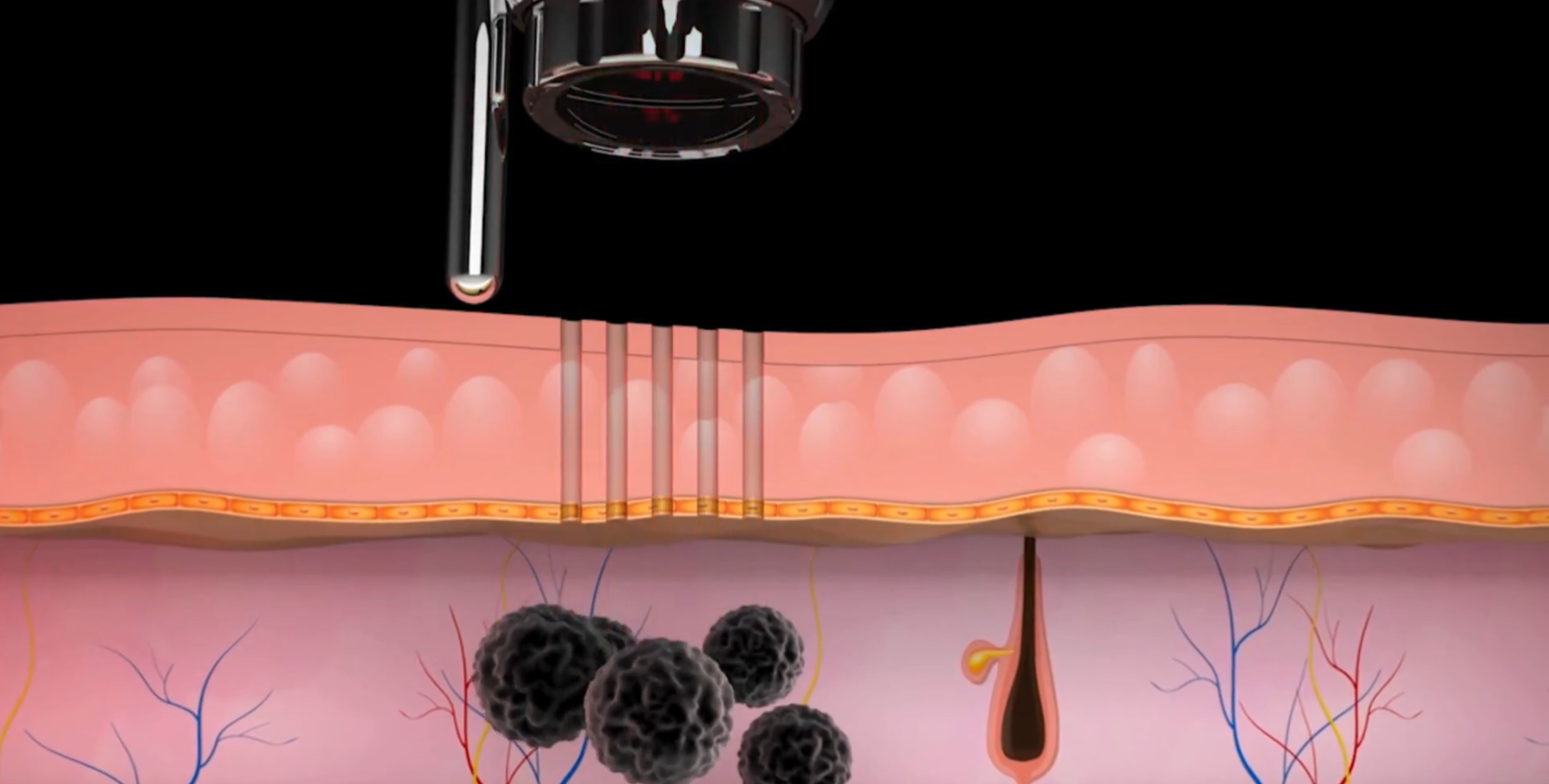 Skjermbilde 2026-02-13 131309