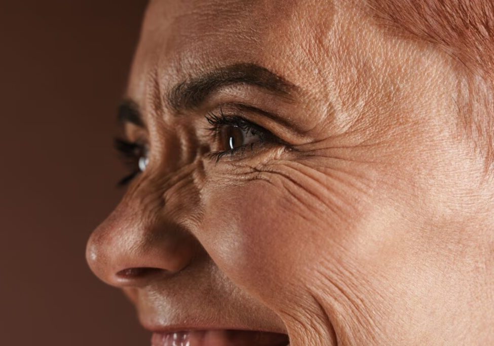 6585a1253401439b6097f7d5_1