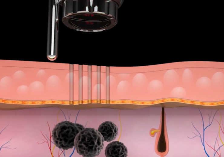 Skjermbilde 2026-02-13 131309